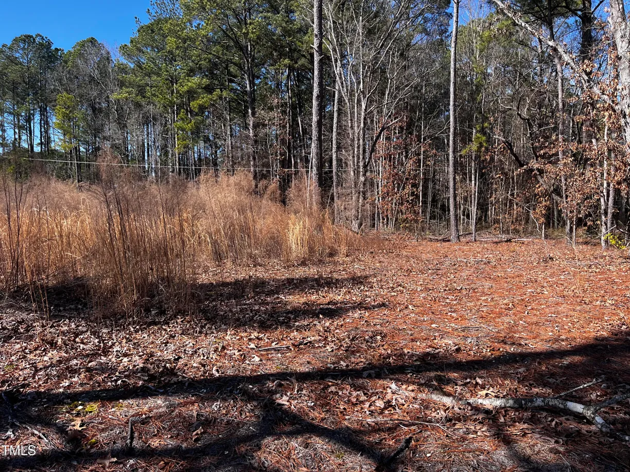 Raleigh, NC Real Estate | View 1284 Nc-50 | Listing