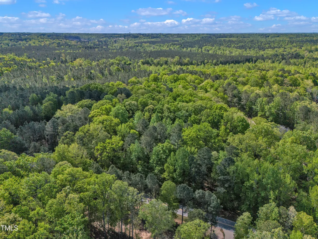 Raleigh, NC Real Estate | View 7235 Cass Holt | Listing