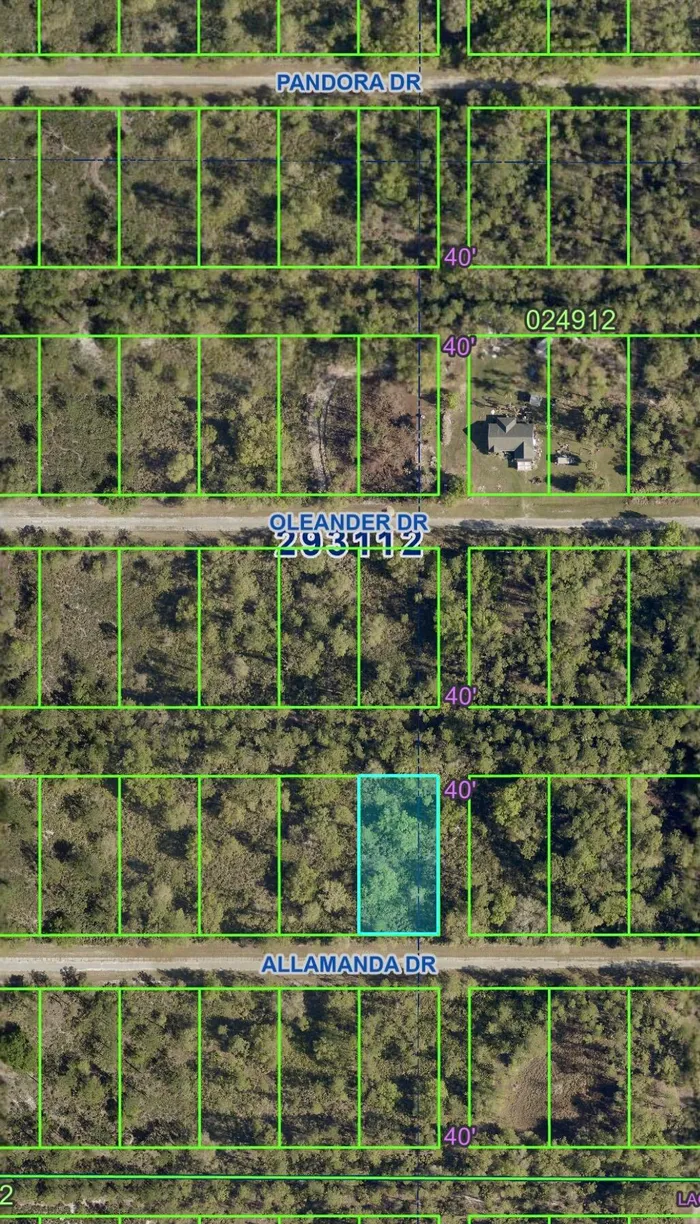 Tbd Allamanda Drive, Indian Lake Estates Property for sale