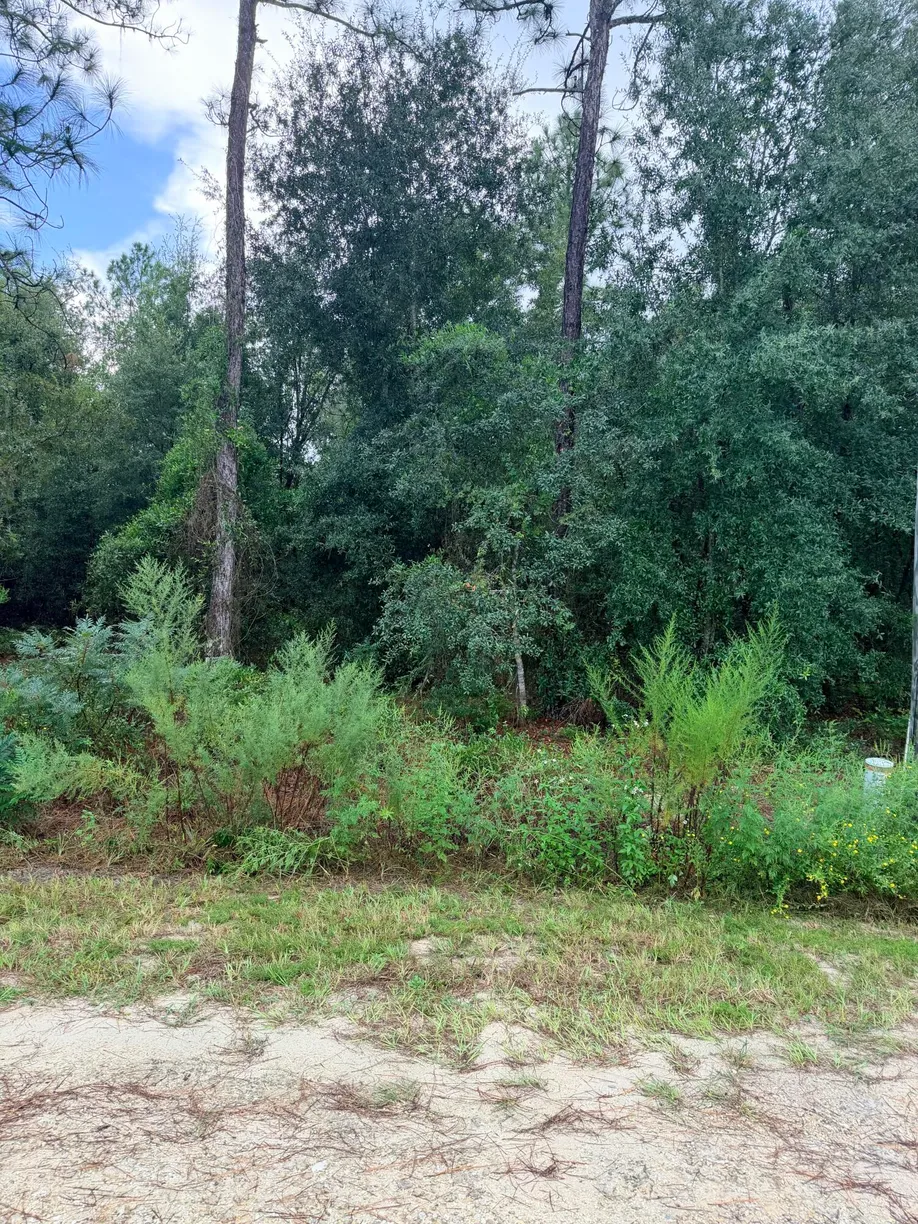 0 NO SITUS, Dunnellon, FL 34432 Property for sale