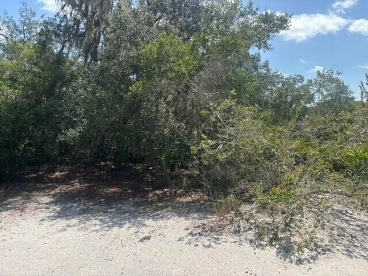 0 Holopaw Groves Road, St Cloud, FL 34772 Property for sale