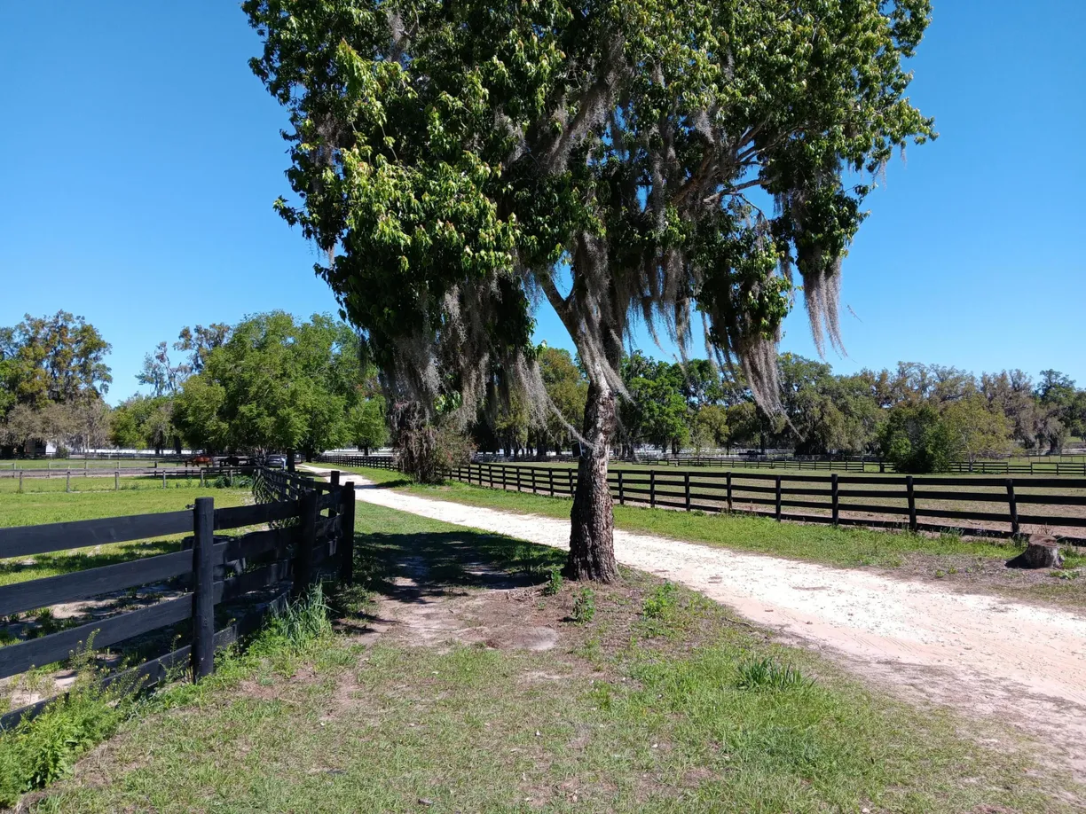 2630 NW 140th Street, Citra, FL 32113 Property for sale