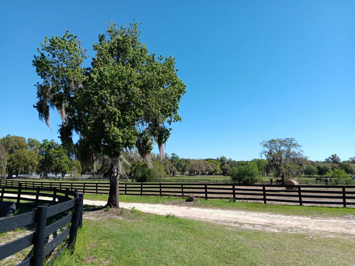 2630 NW 140th Street, Citra, FL 32113 Property for sale