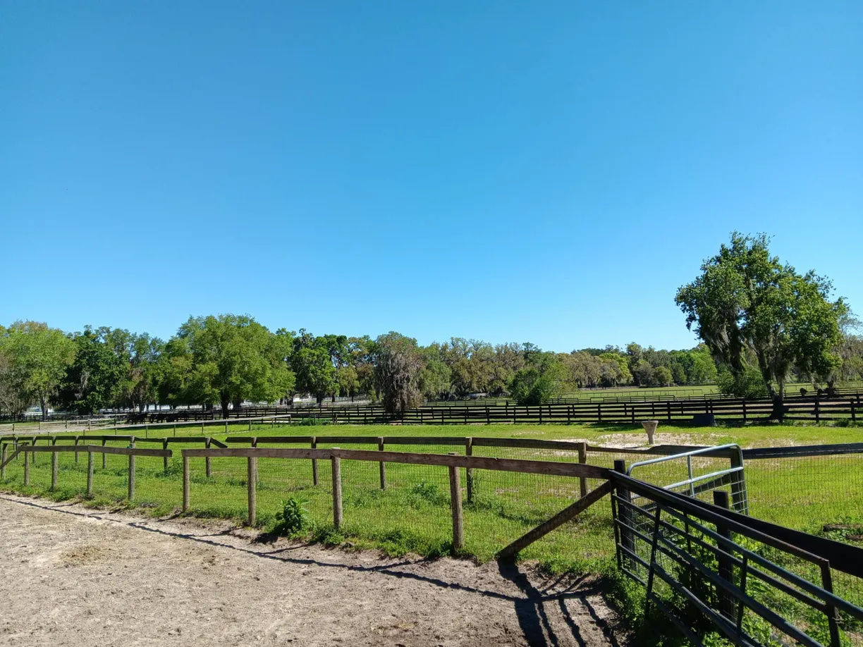 2630 NW 140th Street, Citra, FL 32113 Property for sale