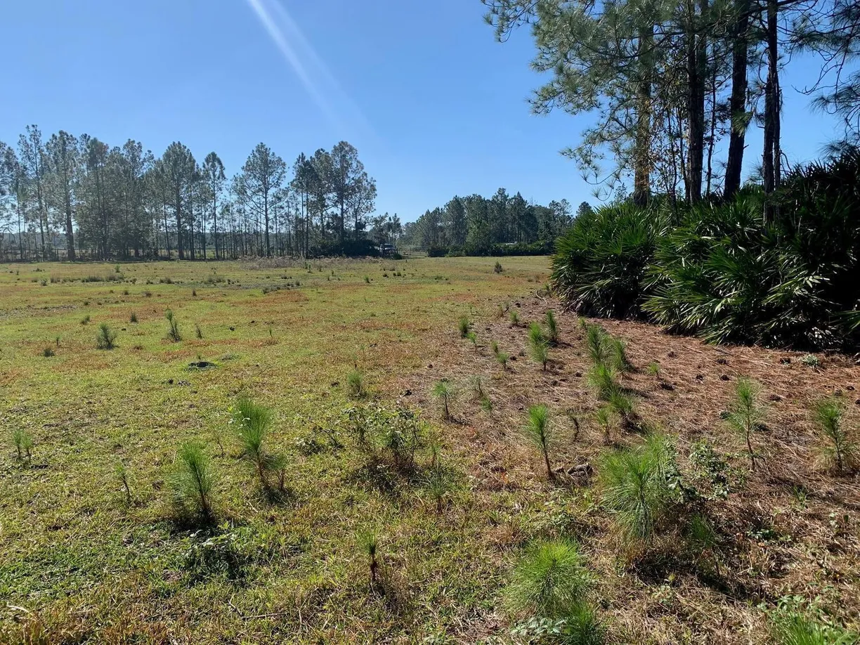 0 Poyner Road, Polk City, FL 33868 Property for sale