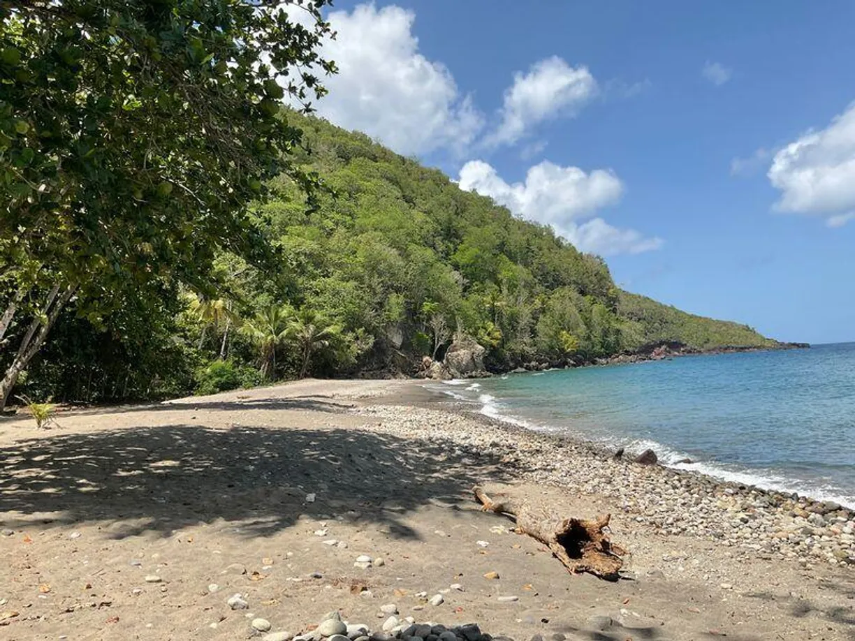 Anse Galet Estate Beachfront Land, Property for sale