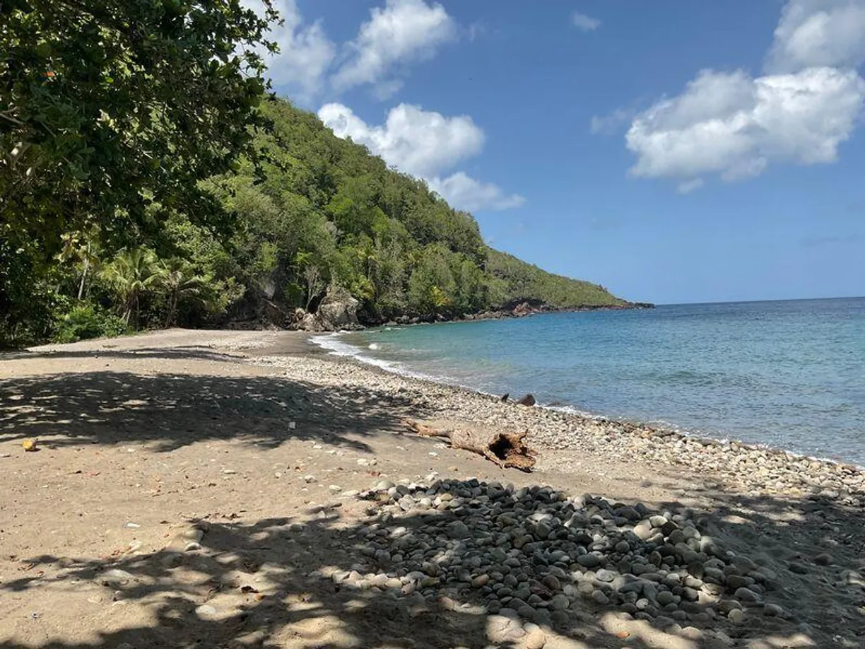 Anse Galet Estate Beachfront Land, Property for sale