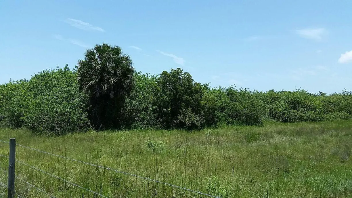 South Florida Real Estate | View 20773 Antoinette Street | Listing
