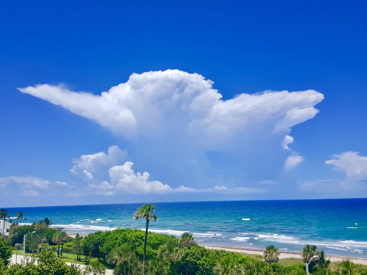 South Florida Real Estate | View 4201 N Ocean Boulevard, C-304 | Listing