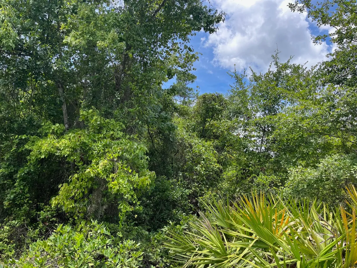 South Florida Real Estate | View 125 Carr Place | Listing