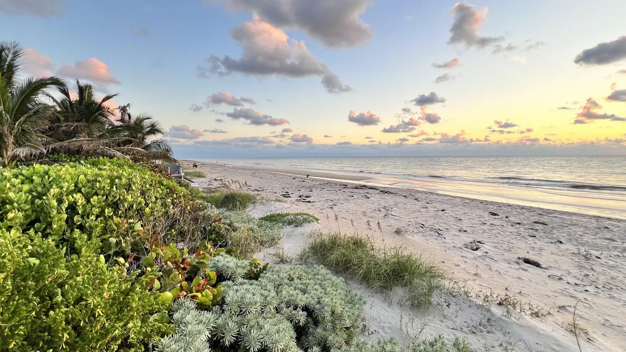 South Florida Real Estate | View 5500 Old Ocean Boulevard, 202 | Listing