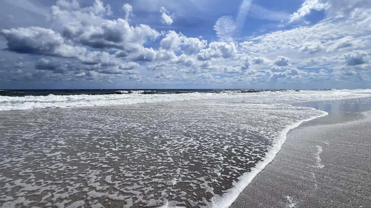 South Florida Real Estate | View 5500 Old Ocean Boulevard, 202 | Listing