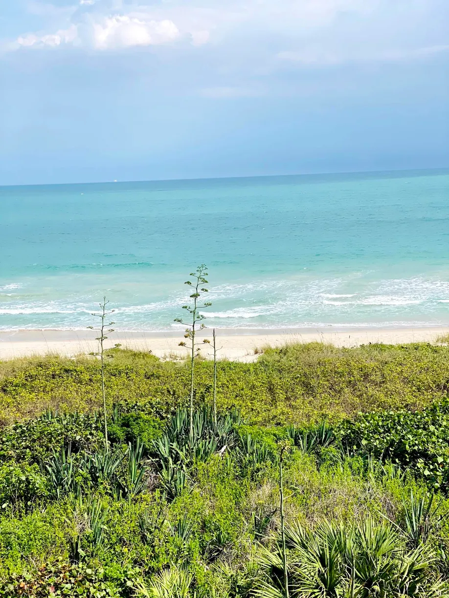 South Florida Real Estate | View 4250 N Highway A1a, 503 | 2 Beds, 2 Baths