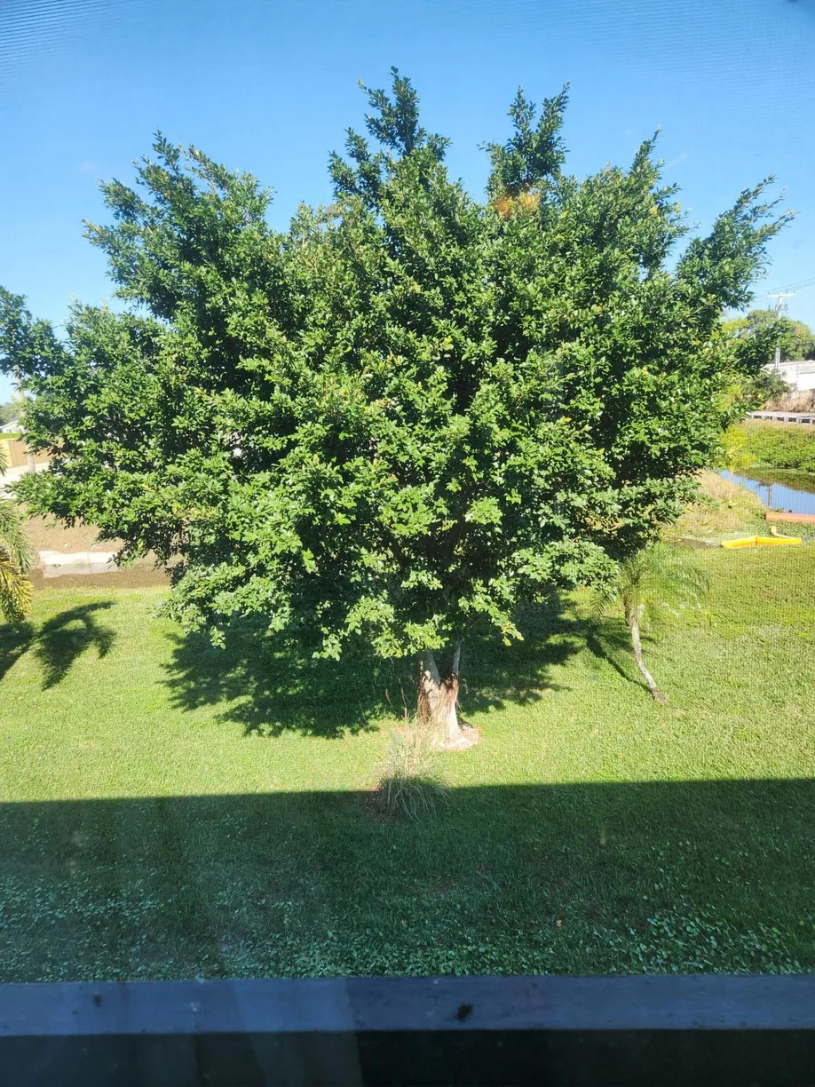 South Florida Real Estate | View 4542 Lucerne Lakes Boulevard, 206 | Listing