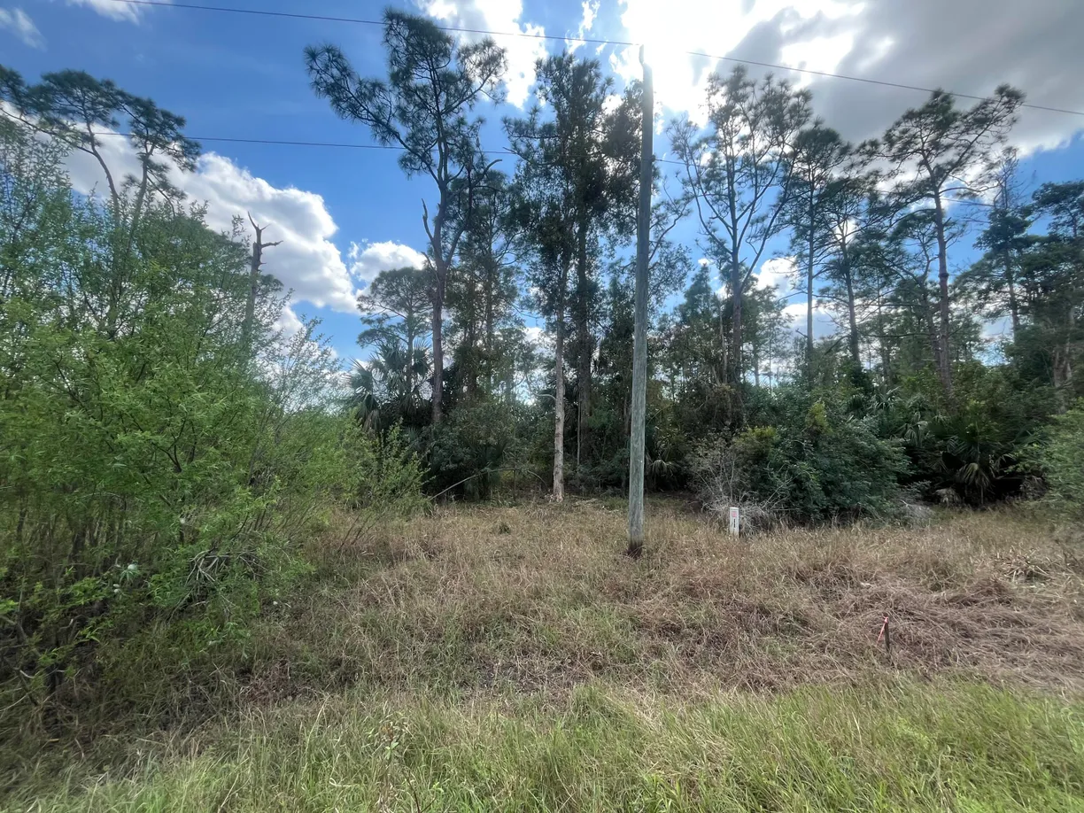 South Florida Real Estate | View 8551 Buckingham Road