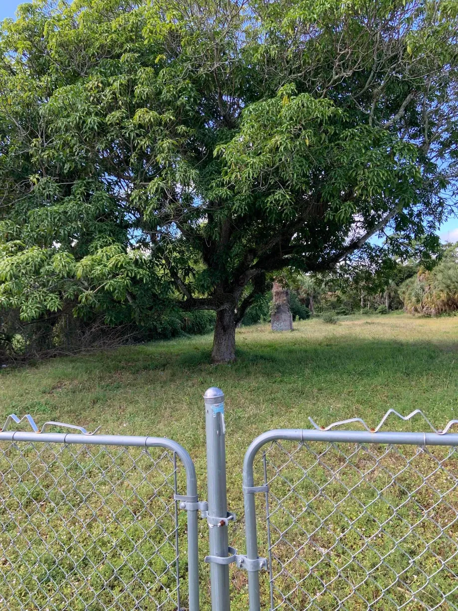 South Florida Real Estate | View 1099 N Haverhill Road