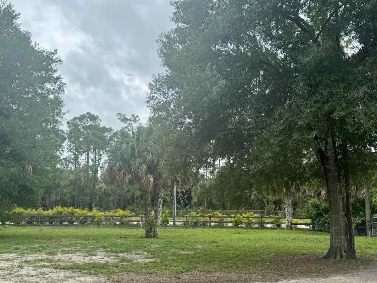 South Florida Real Estate | View 