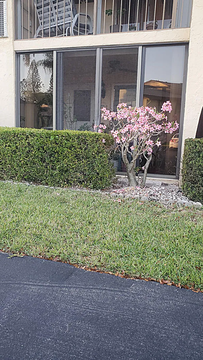 South Florida Real Estate | View 318 Pine Ridge Circle, A-1 | Listing