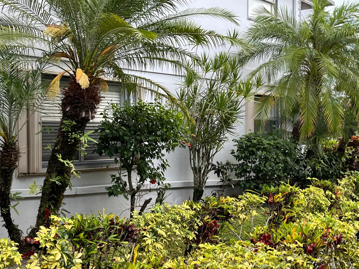 South Florida Real Estate | View 263 Tuscany | 1 Bed, 1 Bath