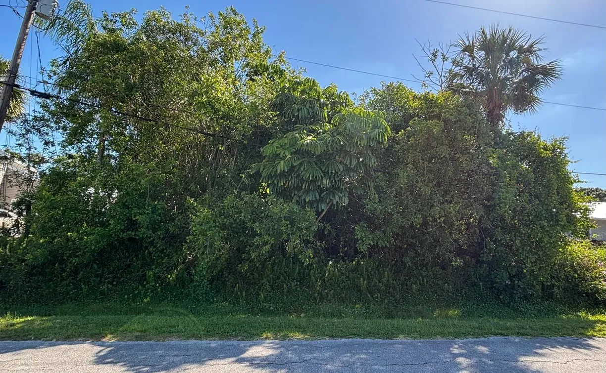 South Florida Real Estate | View 5808 Bamboo Drive