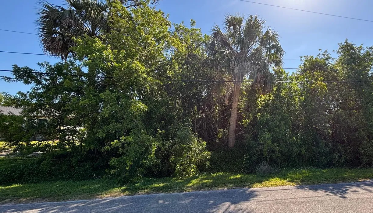 South Florida Real Estate | View Tbd Bamboo Drive