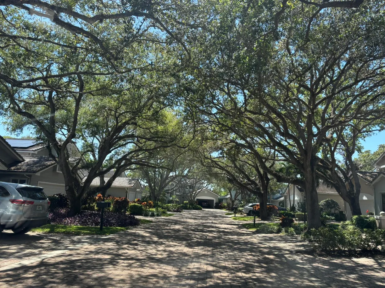 South Florida Real Estate | View 250 S Peppertree Drive, 8 | Listing