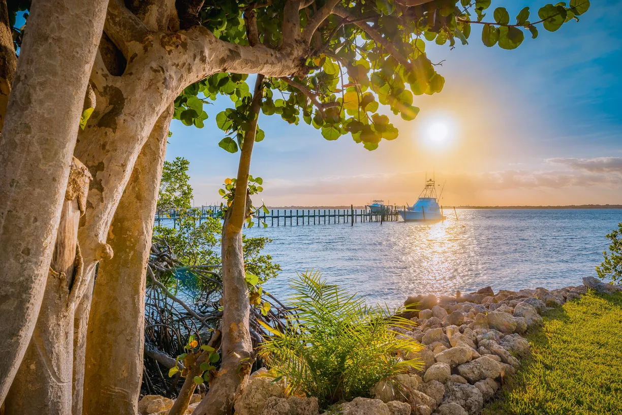 South Florida Real Estate | View 1436 NE Ocean Boulevard
