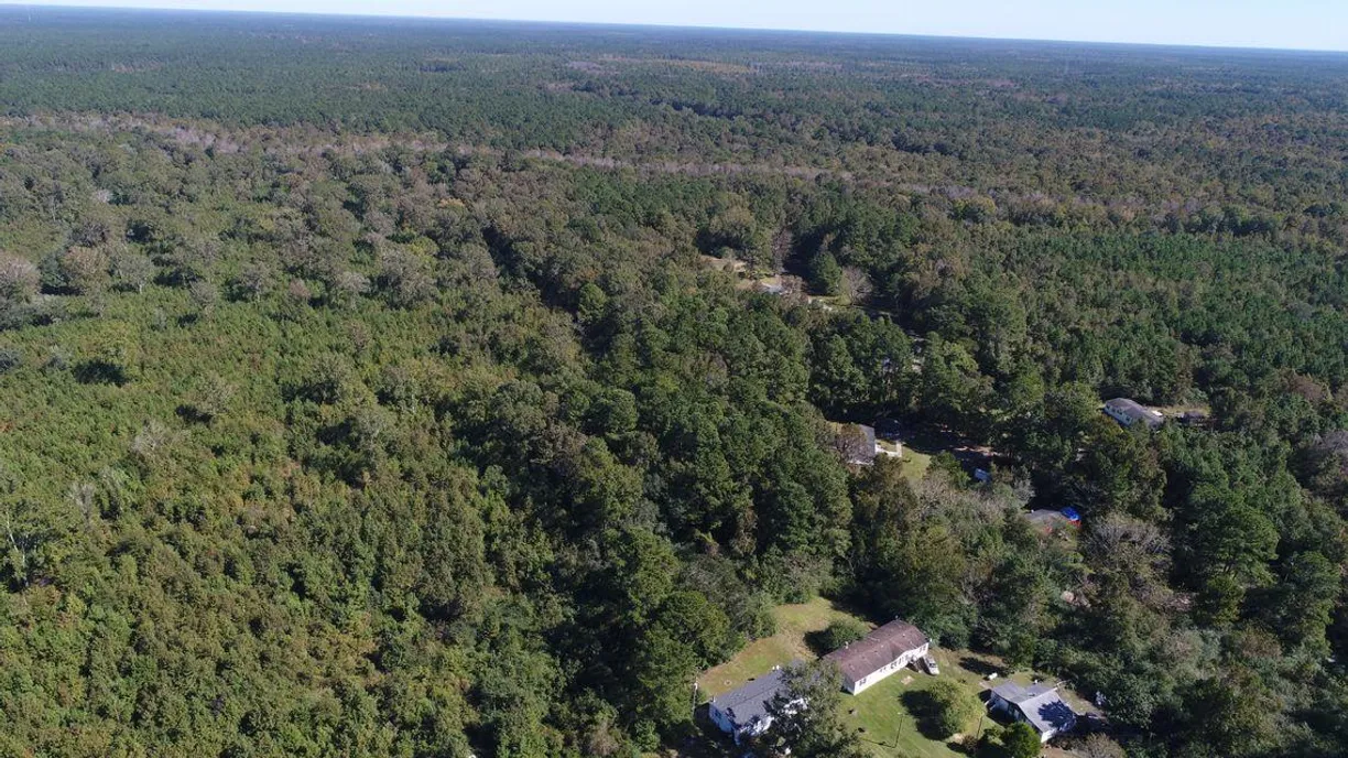 Charleston, SC Real Estate | View 2280 Cainhoy Road | Listing