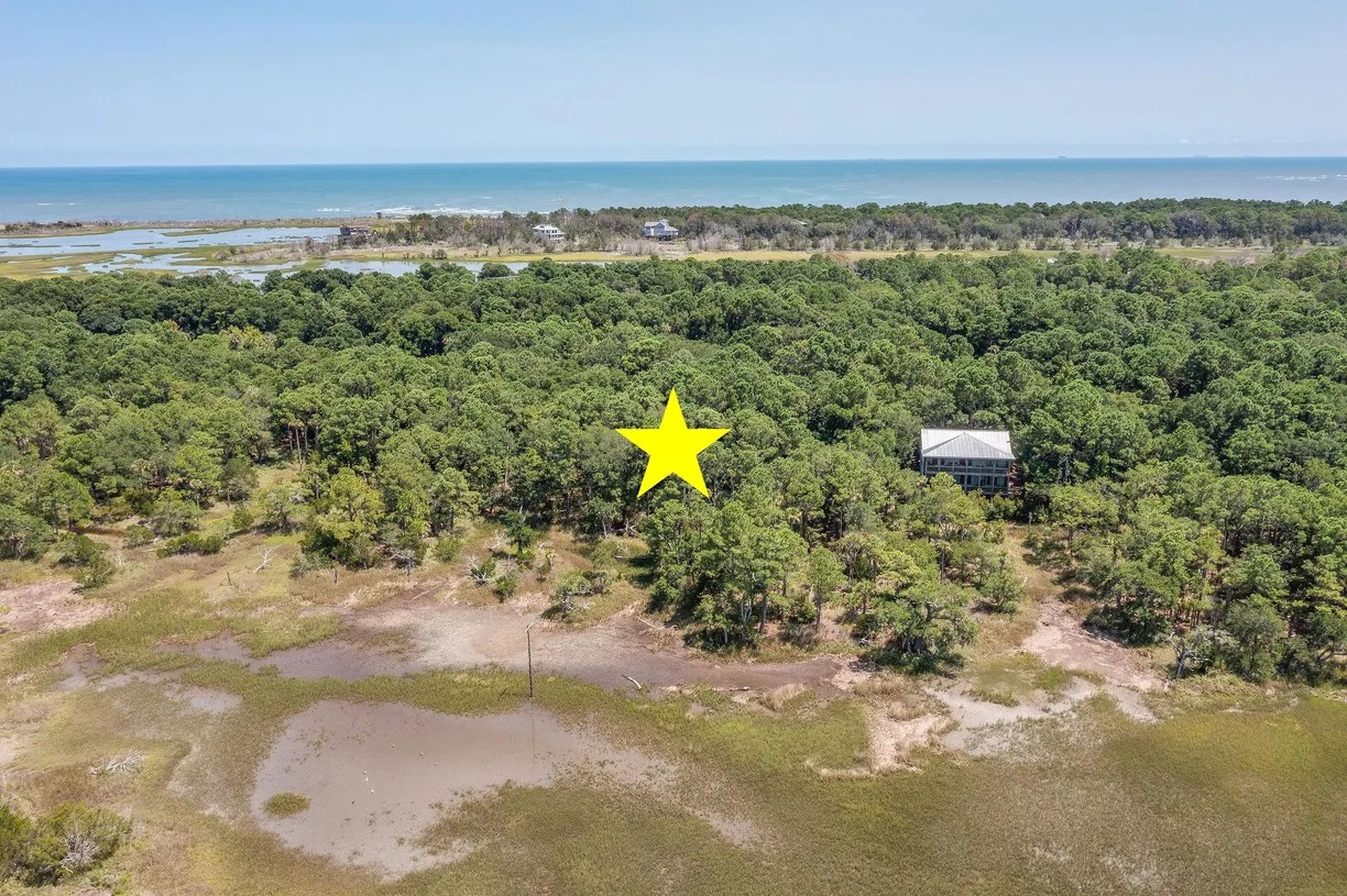 Charleston, SC Real Estate | View 318 Old House Lane, Lot 109 | Listing