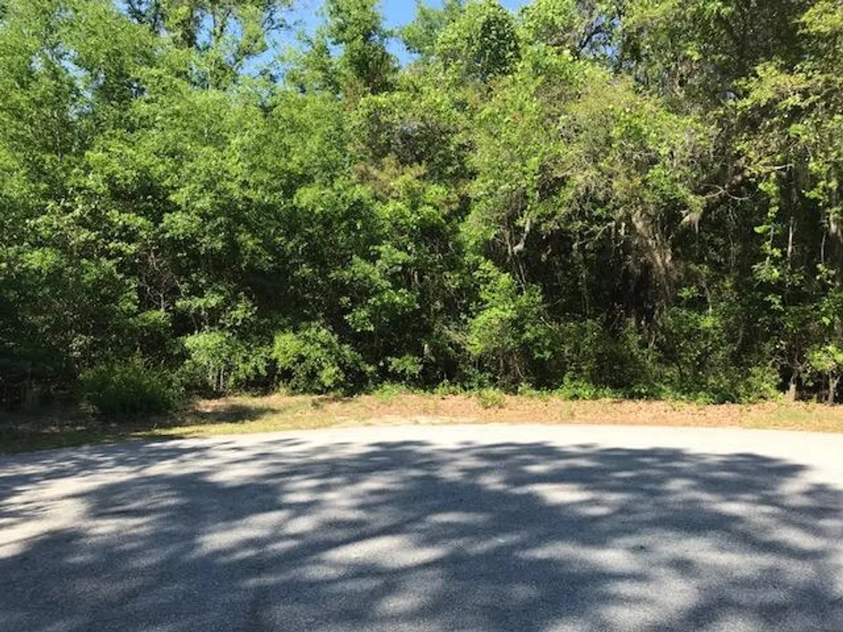 Charleston, SC Real Estate | View 3434 Kit Freeman Lane