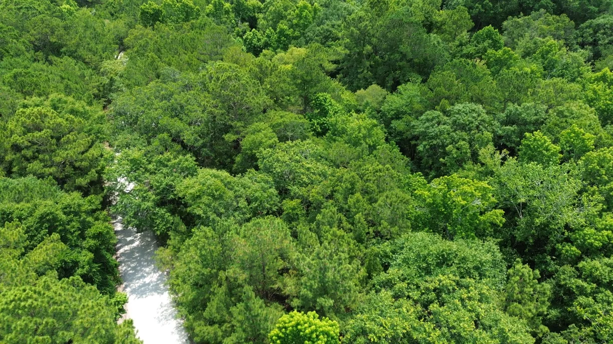 Charleston, SC Real Estate | View 4 Preserve Road | Listing