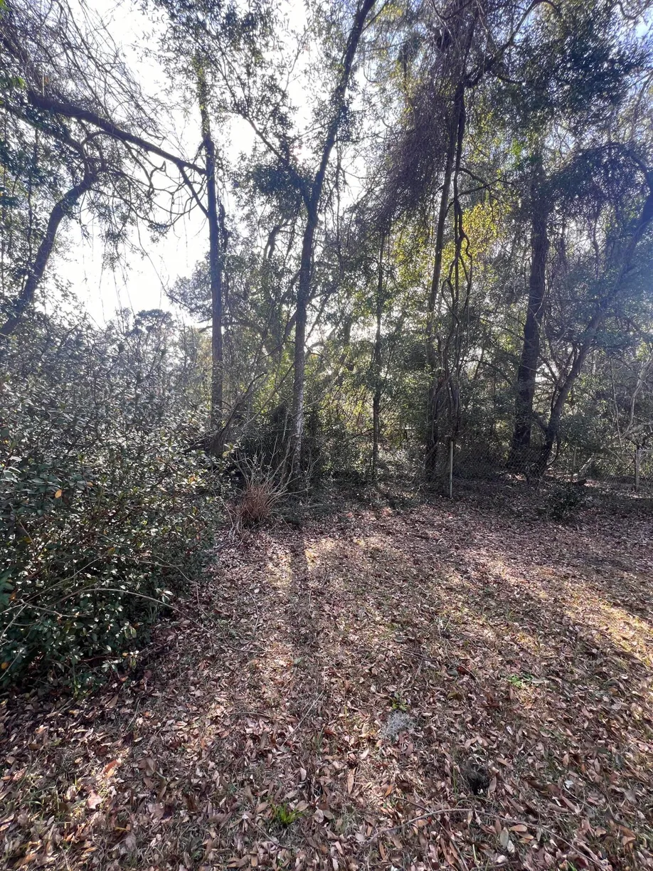 Charleston, SC Real Estate | View 2560 Cherry Point Road | Listing