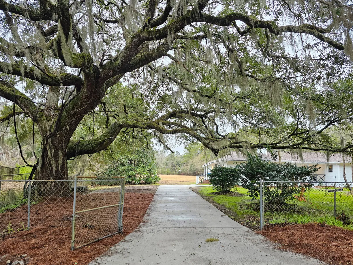 Charleston, SC Real Estate | View 488 Society Road | 3 Beds, 2 Baths