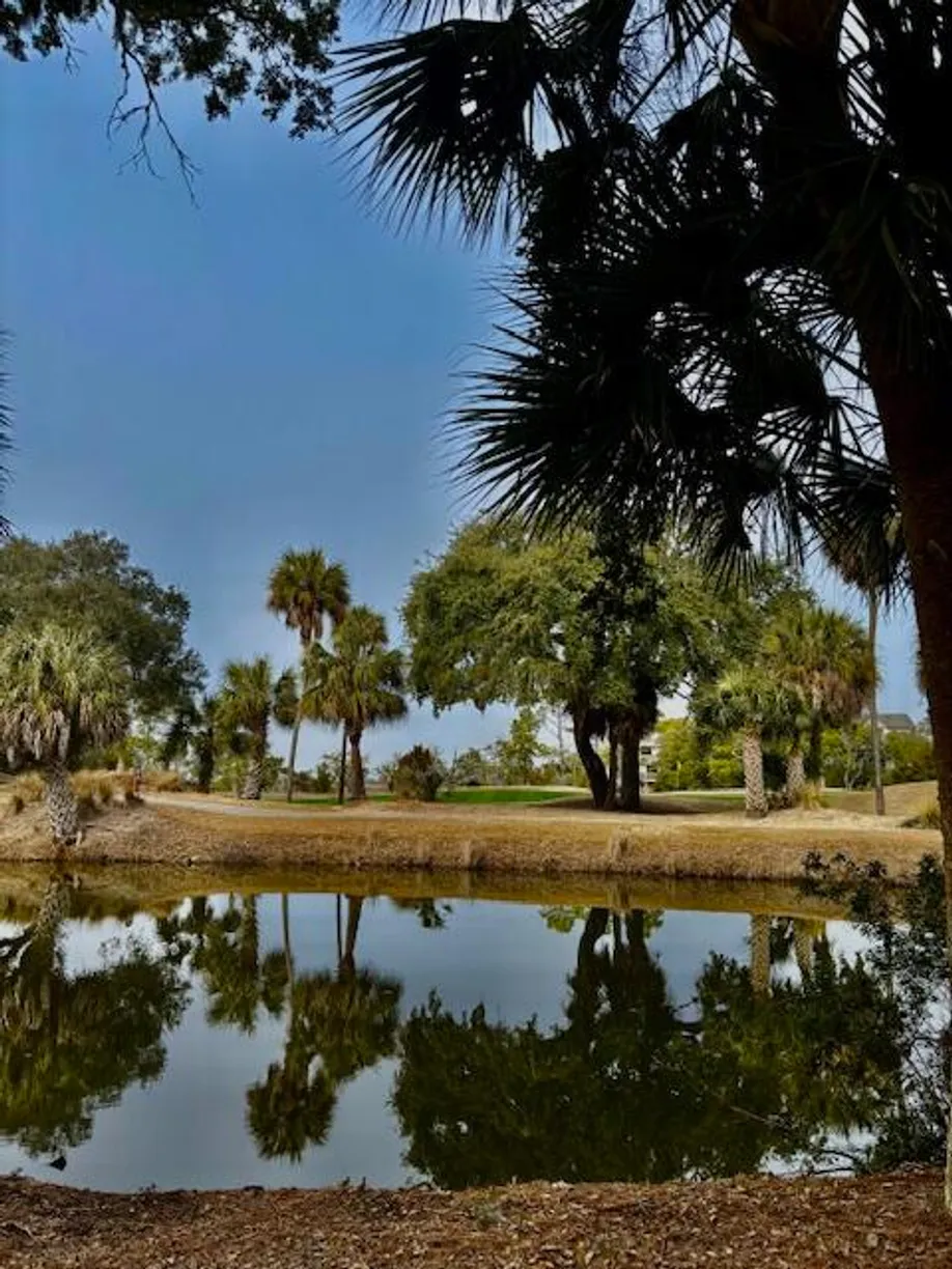 Charleston, SC Real Estate | View 16 Twin Oaks Lane Lane | 3 Beds, 2 Baths