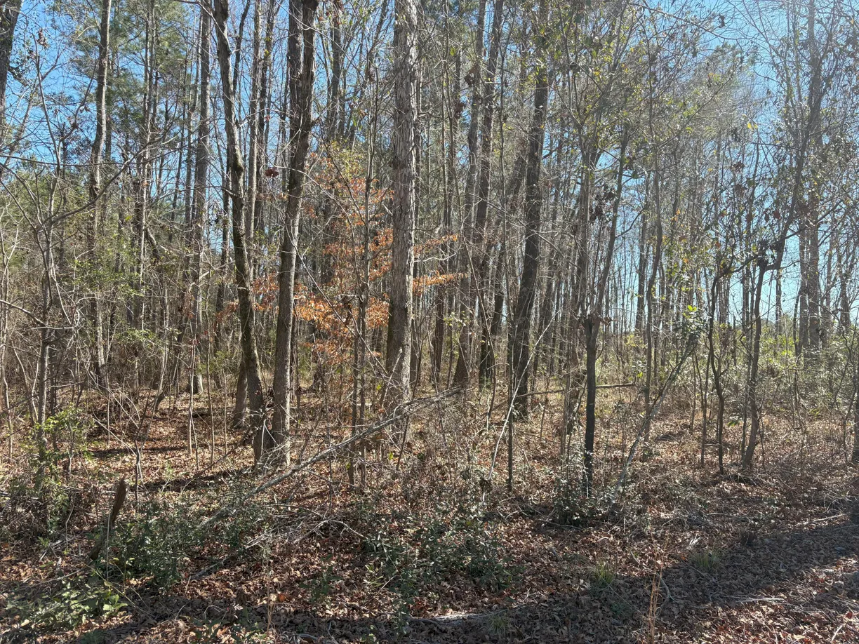 Charlotte Real Estate | View 000 Old Beech Hill Rd Road | Listing