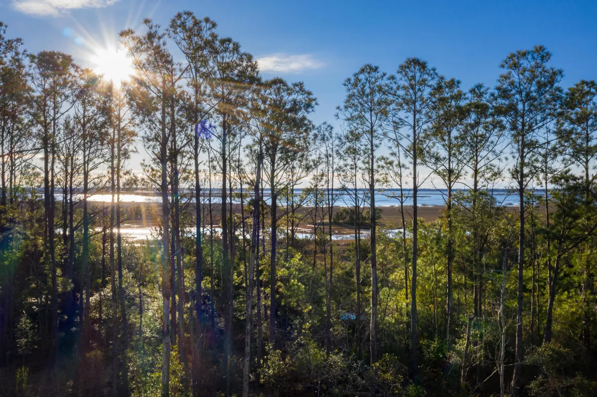 Charleston, SC Real Estate | View 1690 Cultivation Lane, 543 | Listing