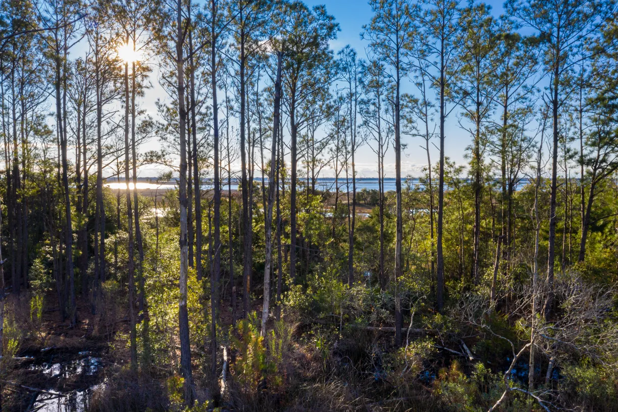 Charleston, SC Real Estate | View 1690 Cultivation Lane, 543 | 4 Beds, 3 Baths