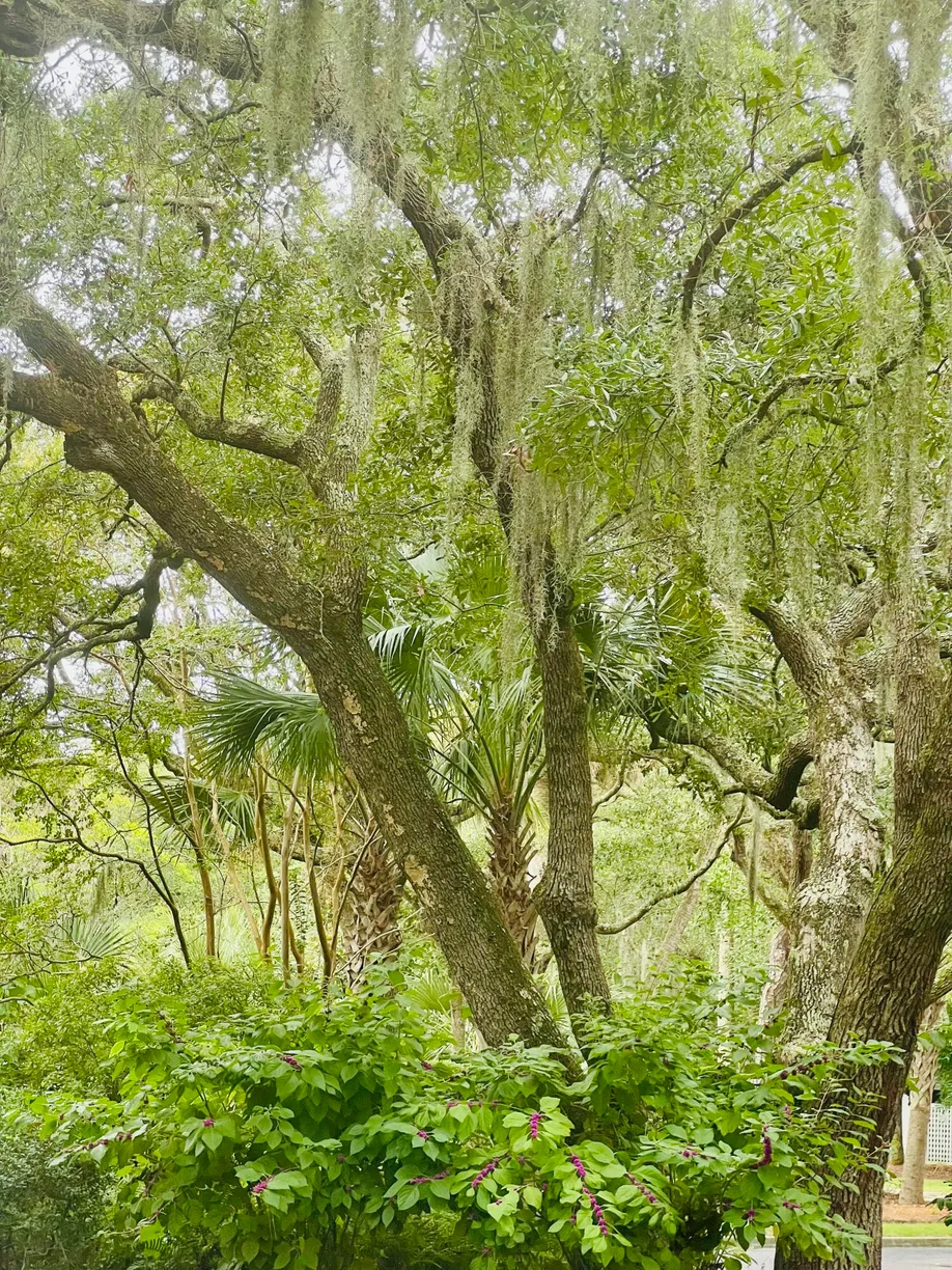Charleston, SC Real Estate | View 4262 Mariners Watch | Listing