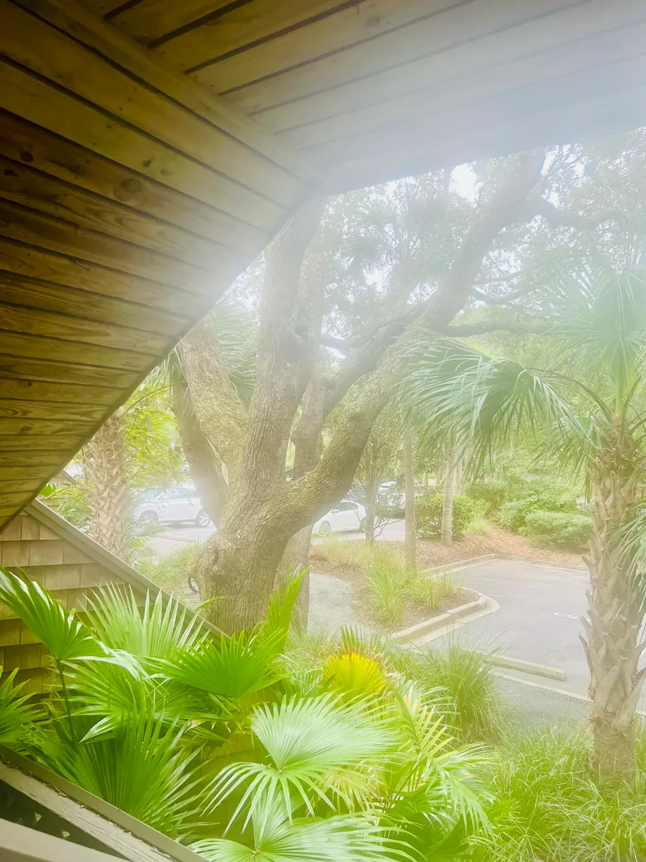 Charleston, SC Real Estate | View 4262 Mariners Watch | Listing