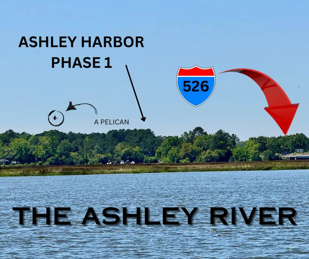 Charleston, SC Real Estate | View 195 Ashley Hall Plantation Road