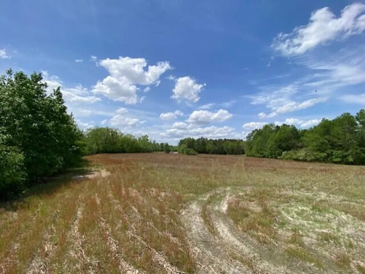Charlotte Real Estate | View 001 Alonzo Road | Listing