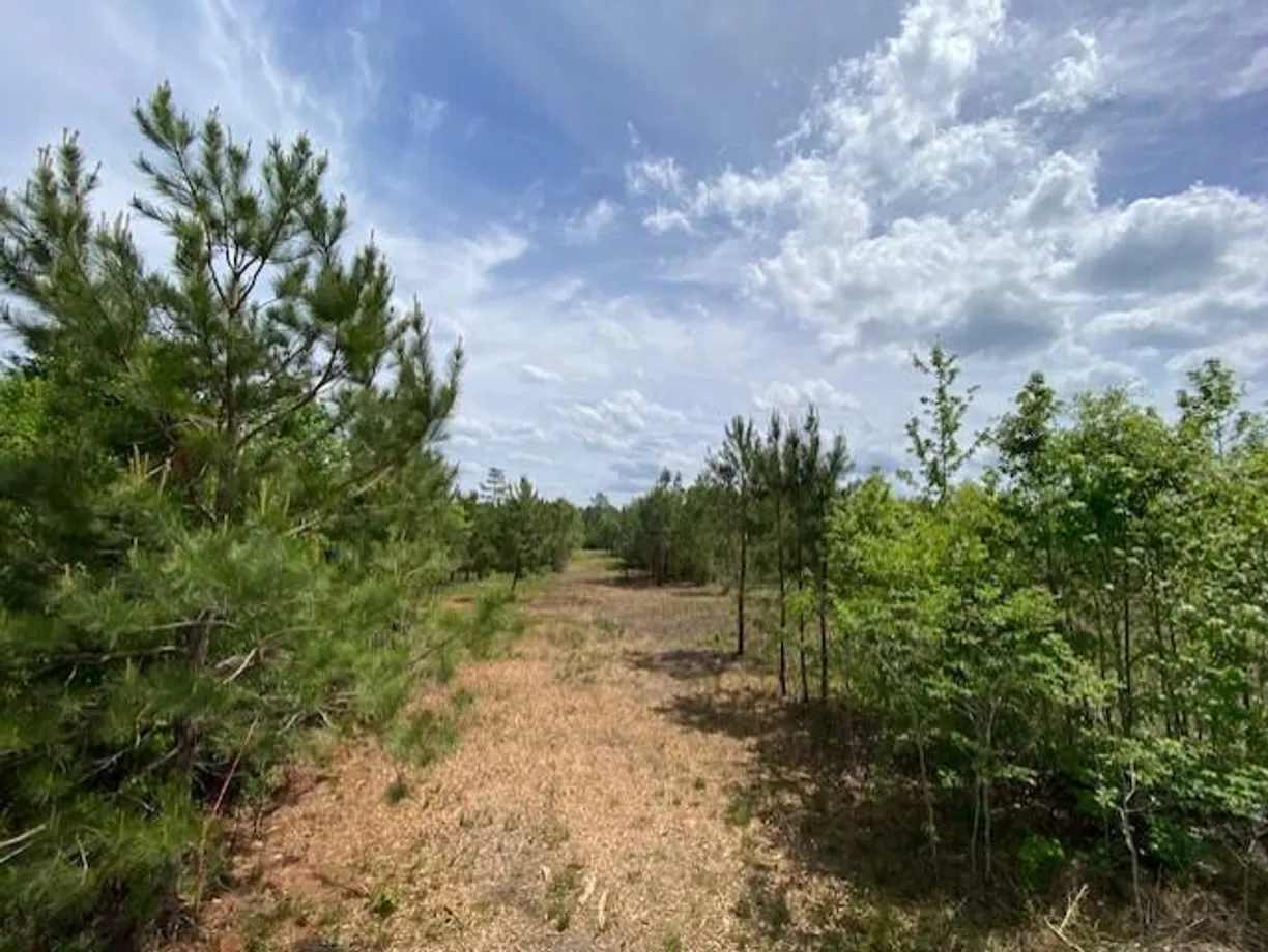 Charlotte Real Estate | View 001 Alonzo Road | Listing