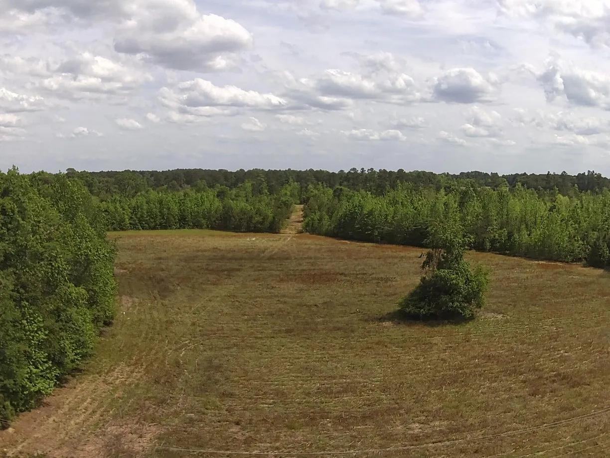 Charlotte Real Estate | View 001 Alonzo Road