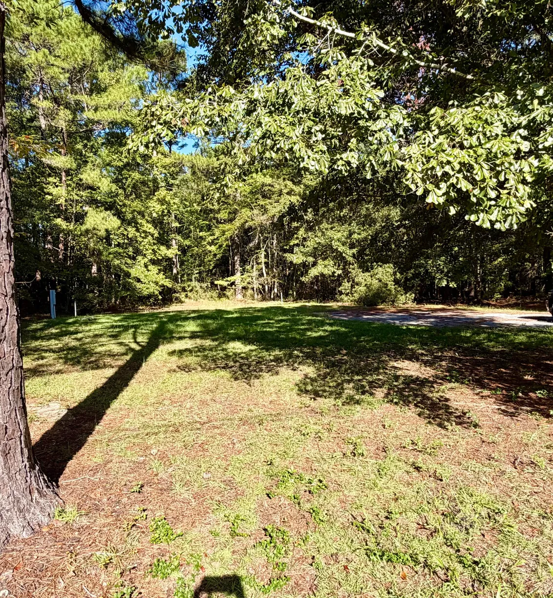 109 Summer Duck Lane, Bonneau, SC 29431 Property for sale
