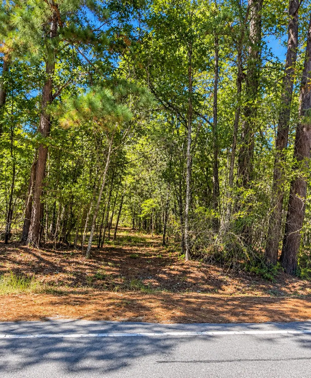 8419 Jefferies Highway, Walterboro, SC 29488 Property for sale