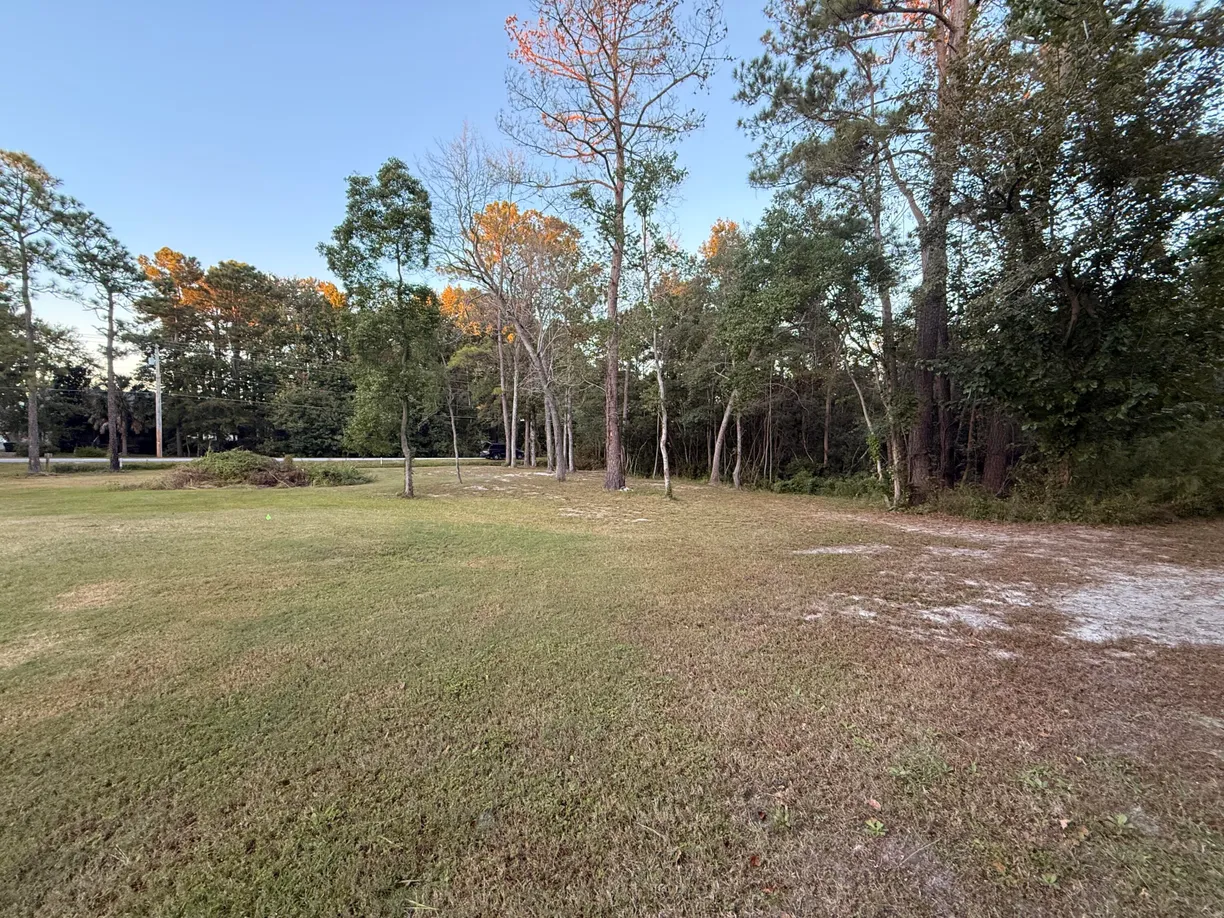 312 General Moultrie Drive, Bonneau, SC 29431 Property for sale