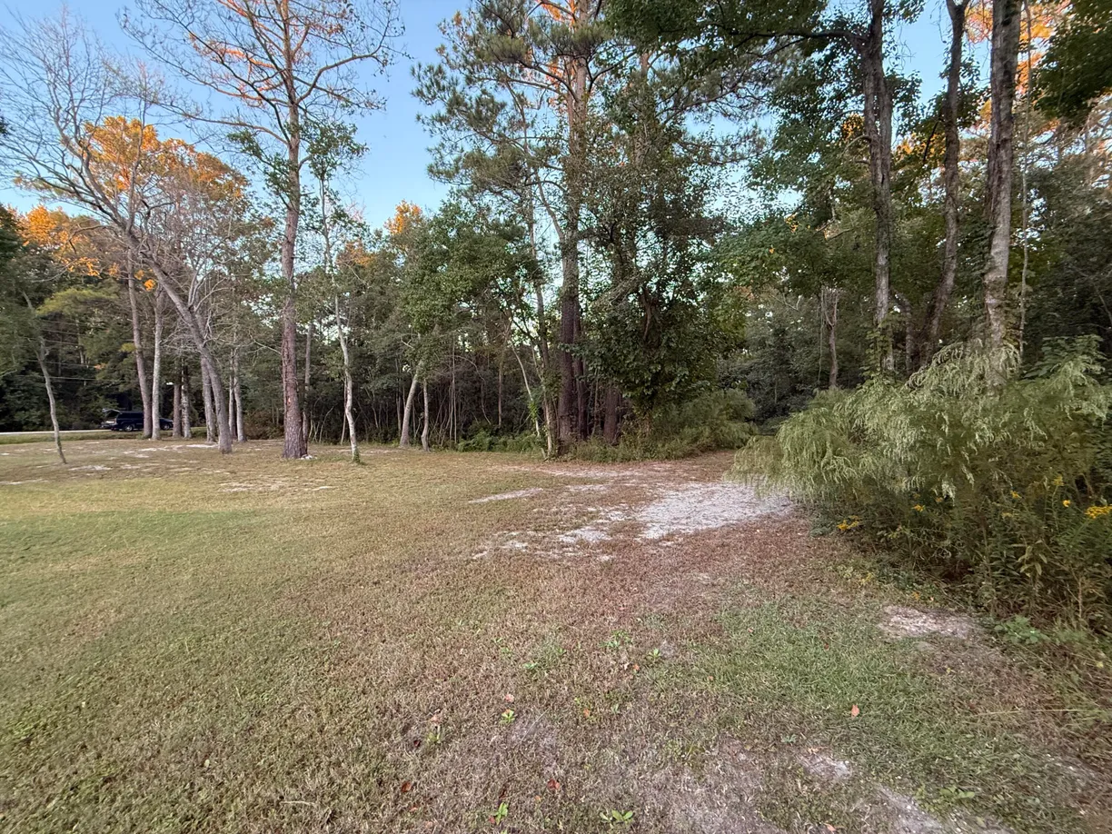 312 General Moultrie Drive, Bonneau, SC 29431 Property for sale