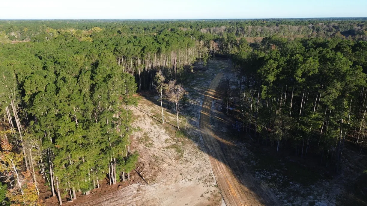 546 The Ranch Trail, Ridgeville, SC 29472 Property for sale