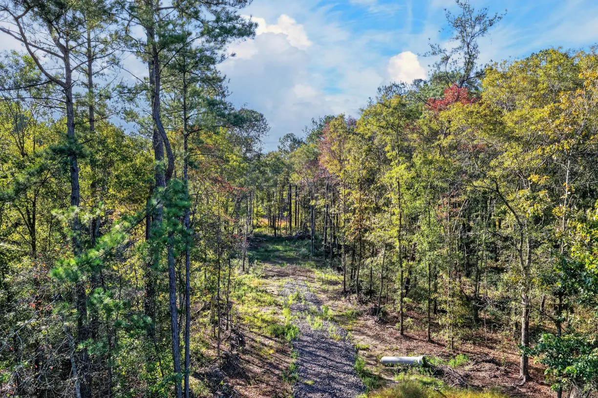 2553 N Highway 17a, Bonneau, SC 29431 Property for sale