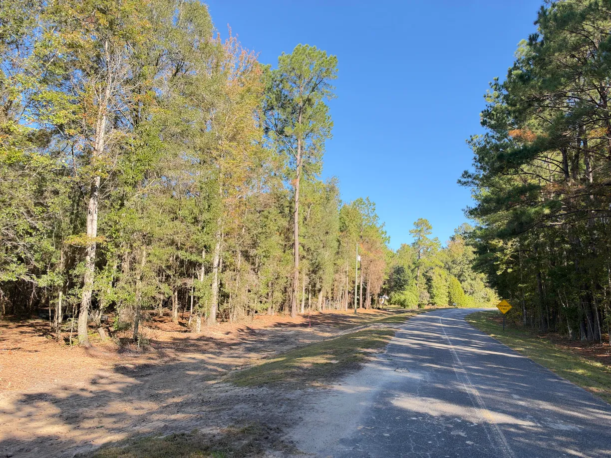 1255 Thirty Five Mile Road, Ridgeville, SC 29472 Property for sale